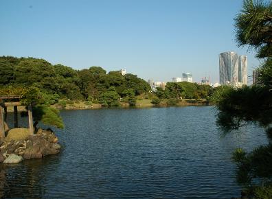 DSC0006