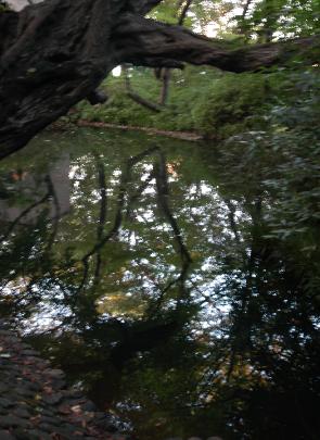 DSC0072