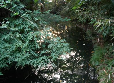 DSC0076