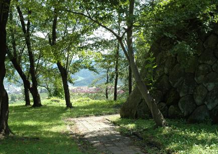 DSC0081
