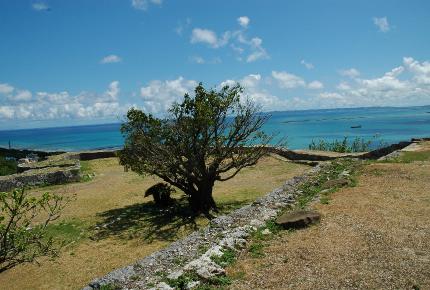 DSC0097