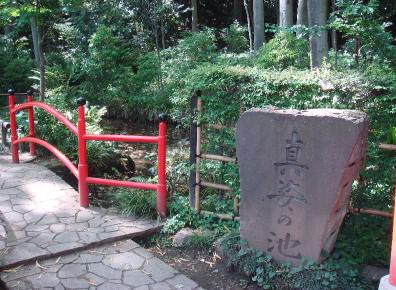 DSC03296