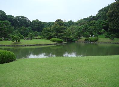 DSC03550