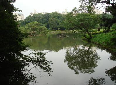 DSC03554