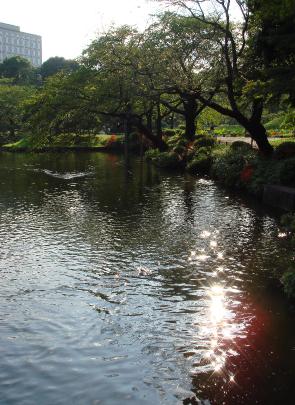 DSC03828