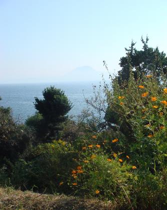DSC03989