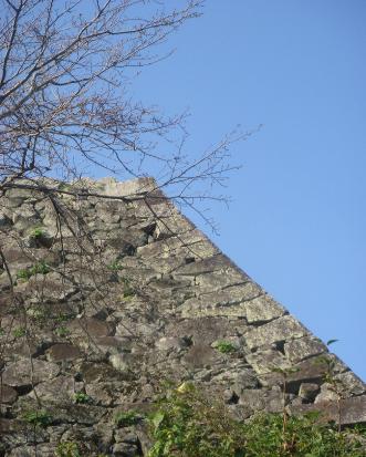 DSC03996