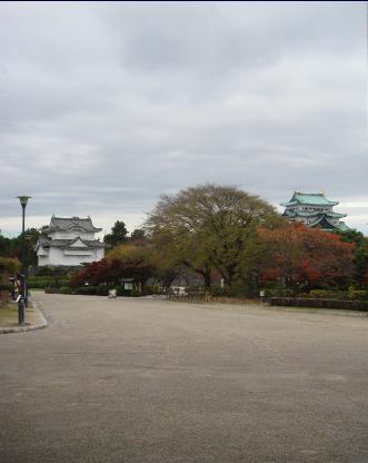 DSC07487a