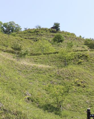IMG0070