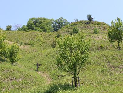 IMG0075