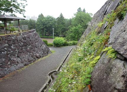IMG0635