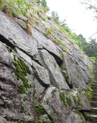 IMG0637