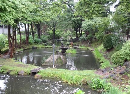 IMG0655