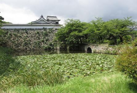 IMG0692