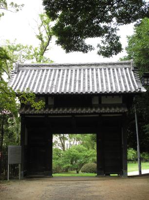 IMG0704
